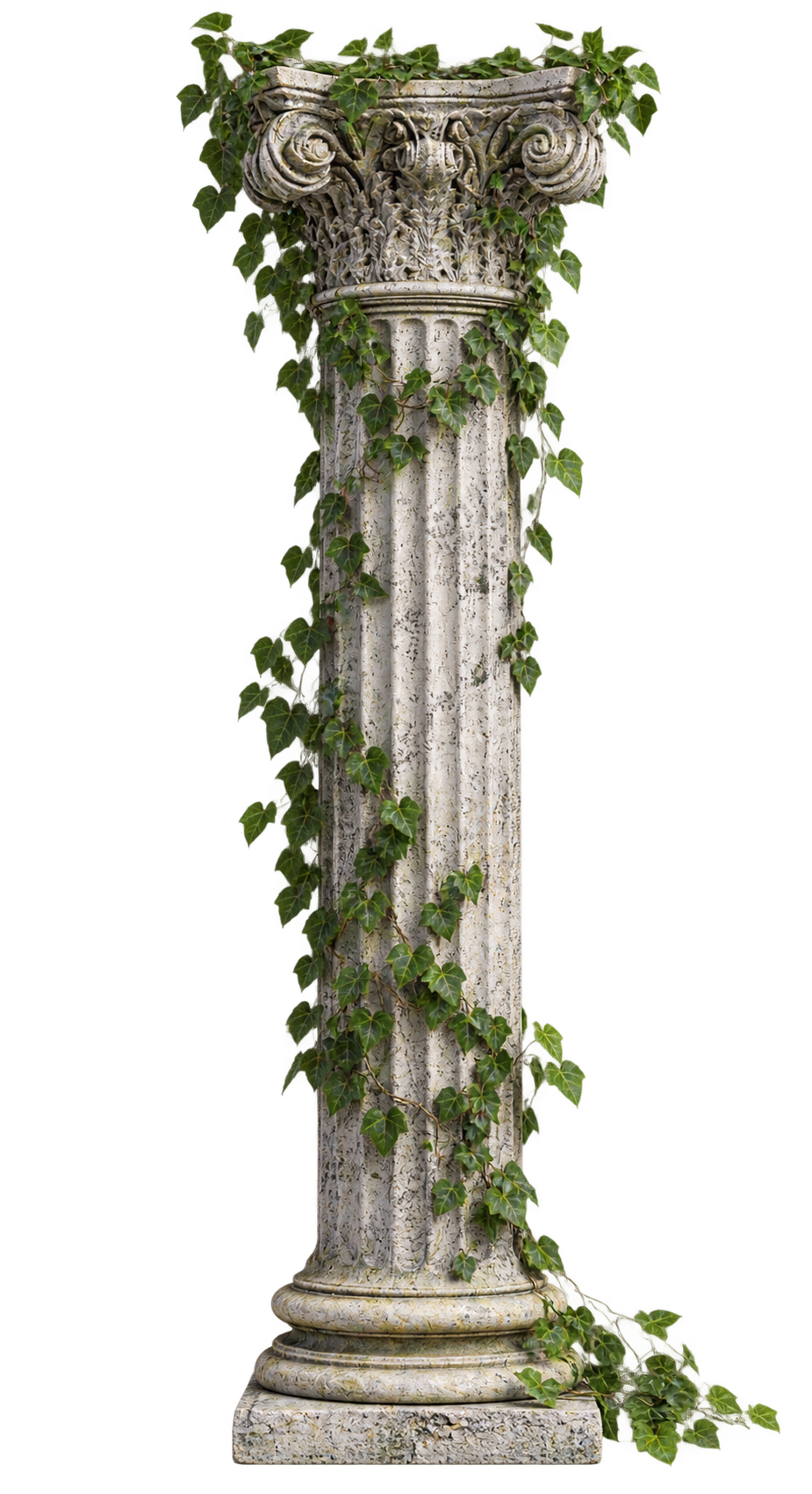 Weathered classical stone column with an ornate capital and green ivy winding around its fluted shaft